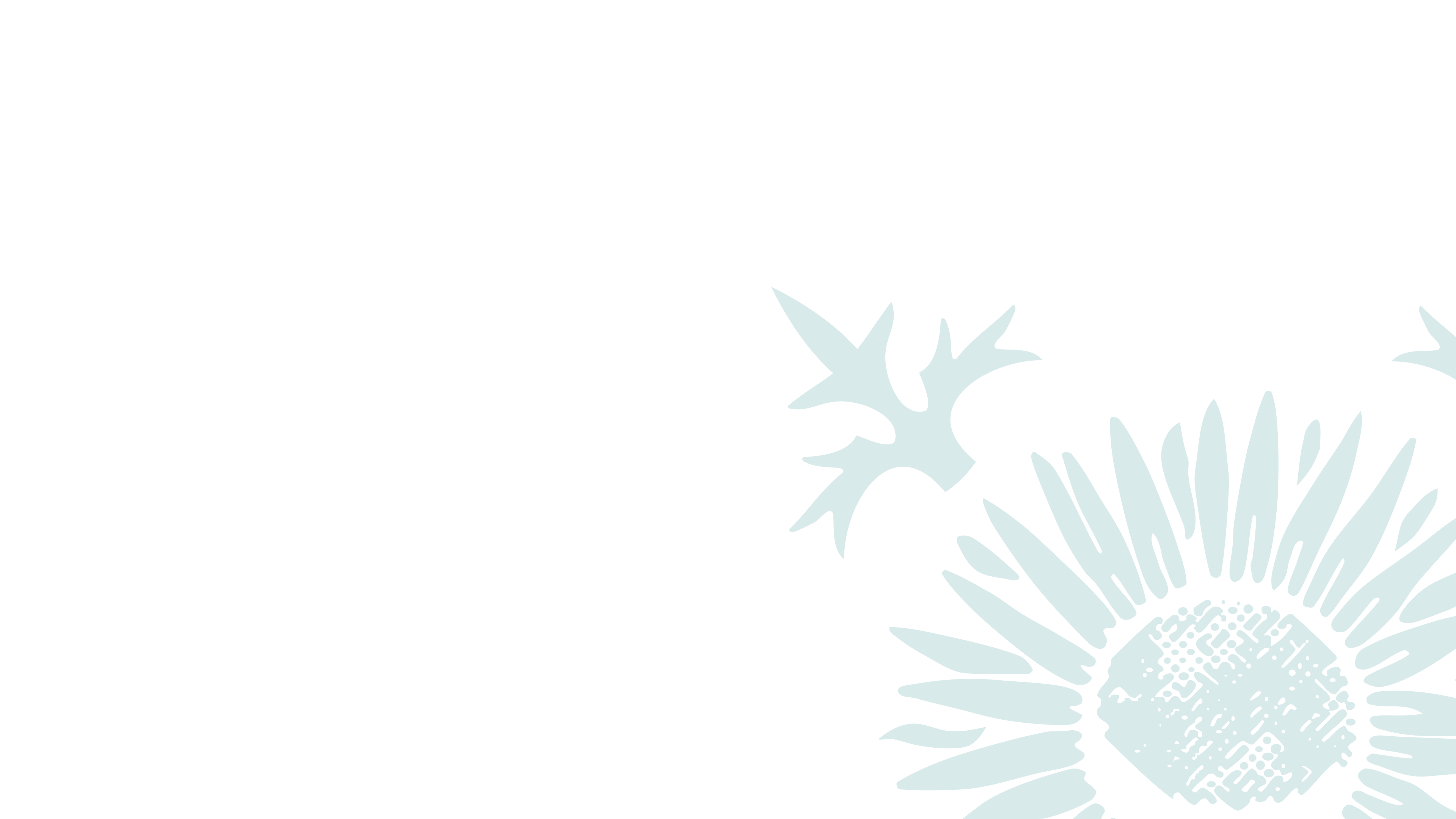 Rhön_Applikationen_Distel-weiss